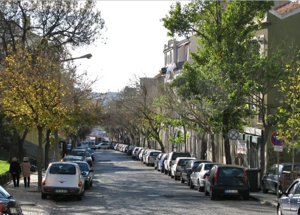 Apartamento T1 para Venda em Estrela Foto 5