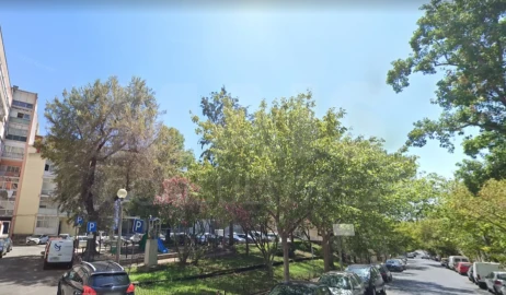 Apartamento T1 para Venda em Estrela