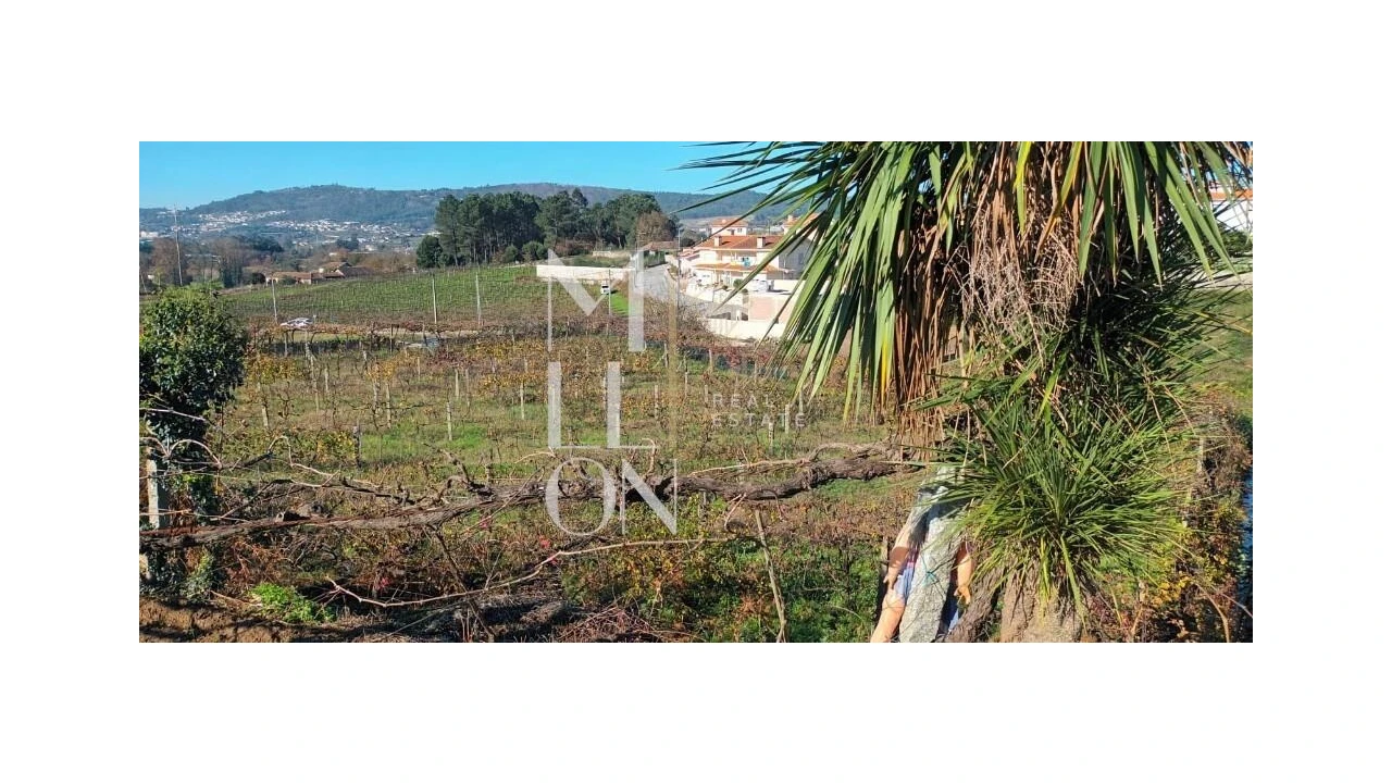 Terreno para Venda em Lodares Foto 8