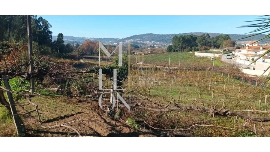 Terreno para Venda em Lodares Foto 10