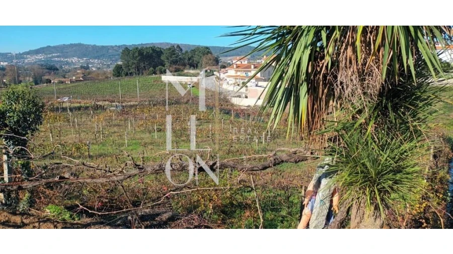 Terreno para Venda em Lodares Foto 8