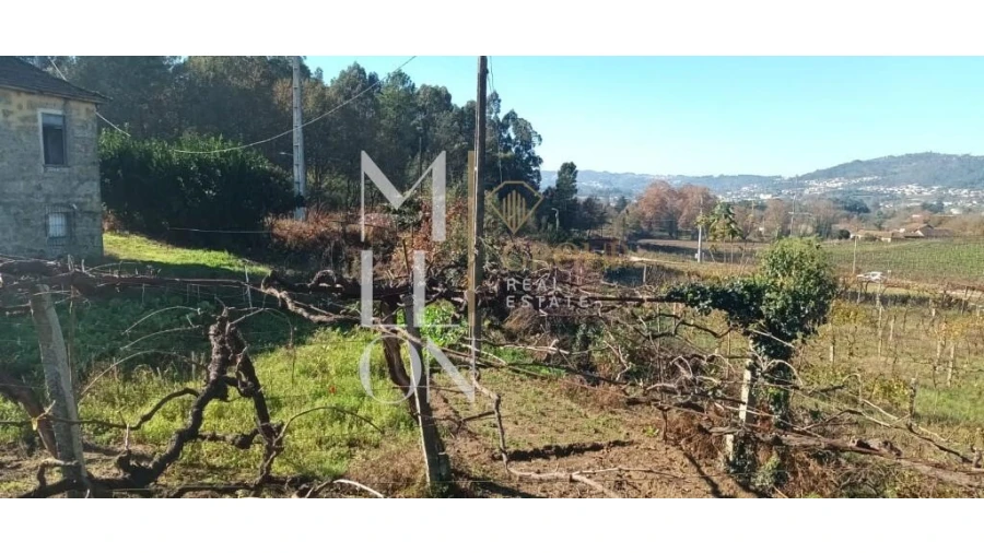 Terreno para Venda em Lodares Foto 13