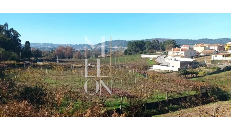 Terreno para Venda em Lodares Foto 3