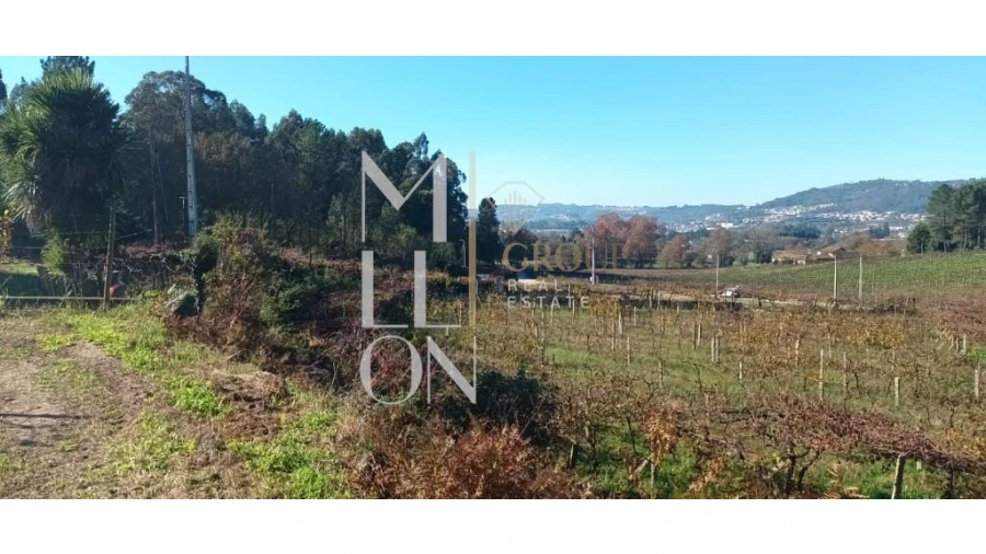 Terreno para Venda em Lodares Foto 4