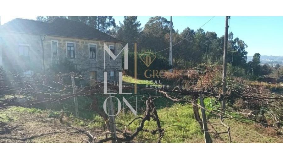 Terreno para Venda em Lodares Foto 11