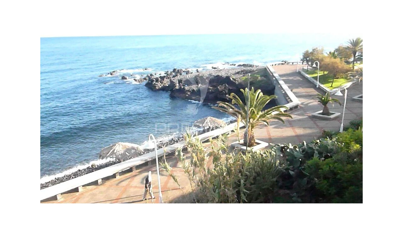 Terreno para Venda em Caniço Foto 2