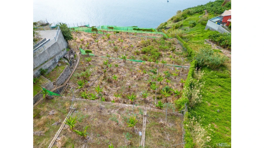 Terreno para Venda em Campanario Foto 11