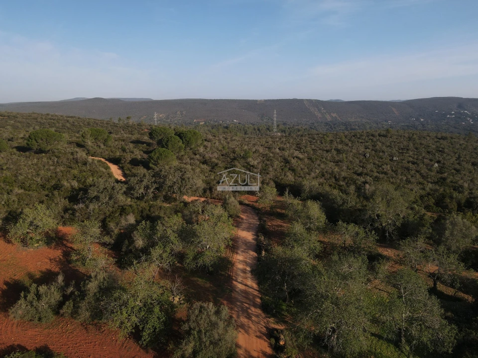 Terreno para Venda em Loule (São Clemente) Foto 13