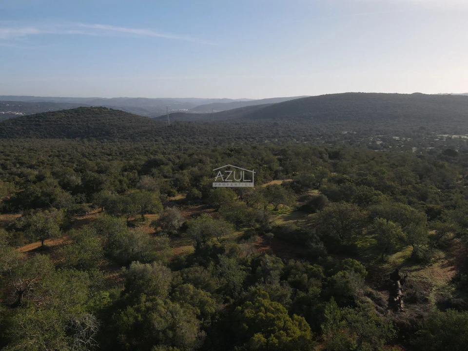 Terreno para Venda em Loule (São Clemente) Foto 14