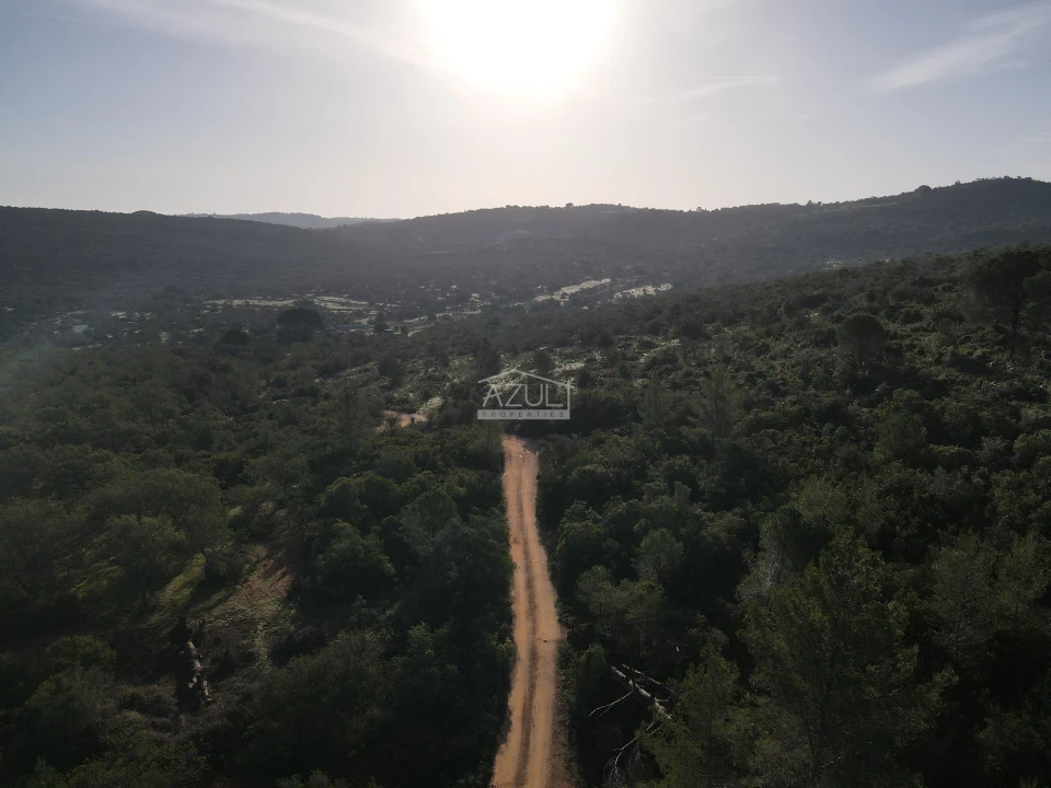 Terreno para Venda em Loule (São Clemente) Foto 15