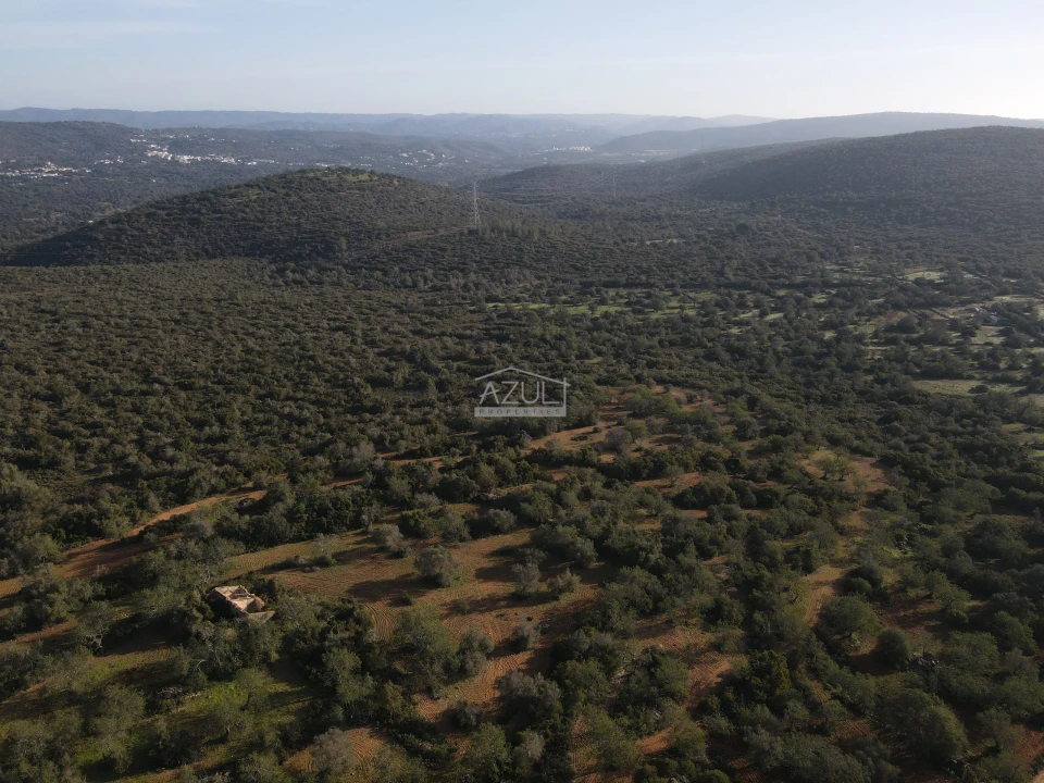 Terreno para Venda em Loule (São Clemente) Foto 20