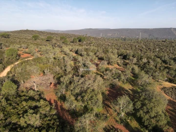 Terreno para Venda em Loule (São Clemente)