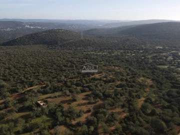 Terreno para Venda em Loule (São Clemente)