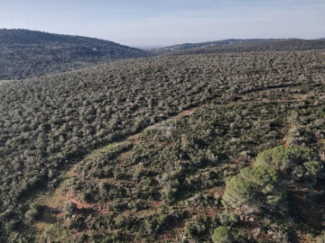 Terreno para Venda em Loule (São Clemente)