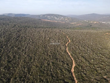Terreno para Venda em Loule (São Clemente)