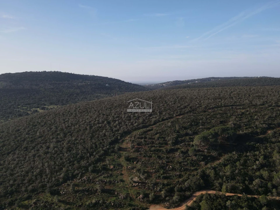 Terreno para Venda em Loule (São Clemente) Foto 24