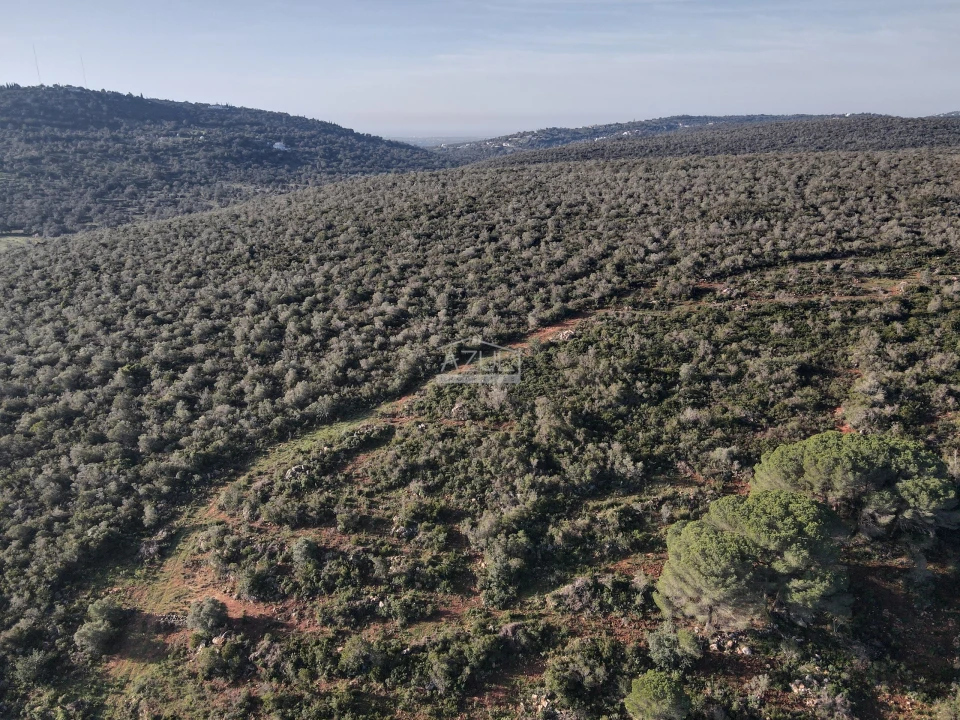 Terreno para Venda em Loule (São Clemente) Foto 18