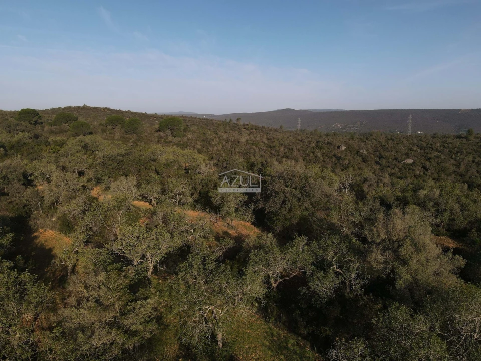Terreno para Venda em Loule (São Clemente) Foto 4