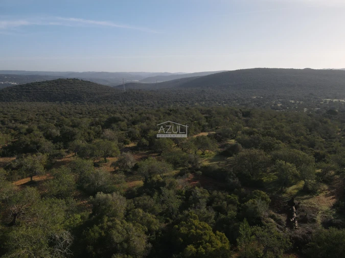 Terreno para Venda em Loule (São Clemente) Foto 14