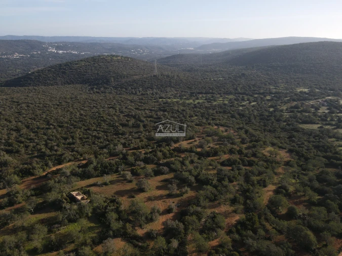 Terreno para Venda em Loule (São Clemente) Foto 20