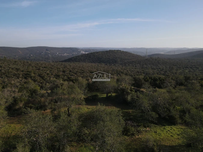 Terreno para Venda em Loule (São Clemente) Foto 5