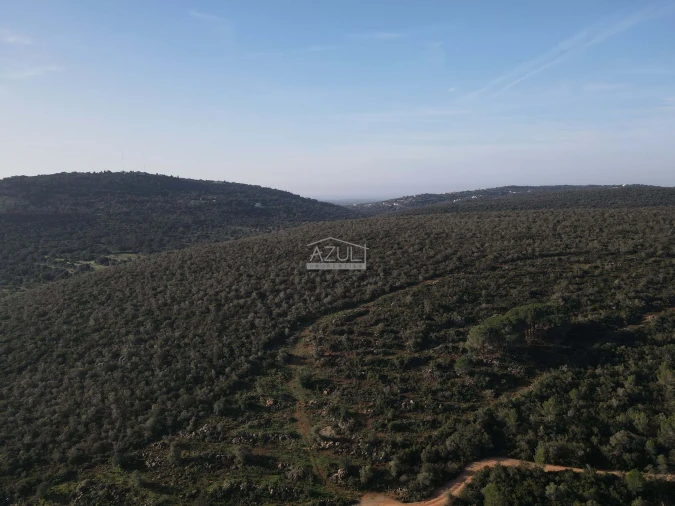 Terreno para Venda em Loule (São Clemente) Foto 24