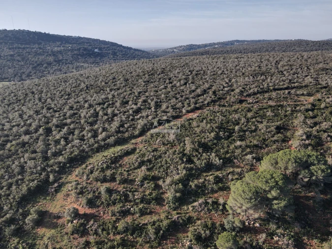 Terreno para Venda em Loule (São Clemente) Foto 18