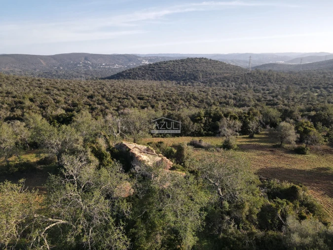 Terreno para Venda em Loule (São Clemente)