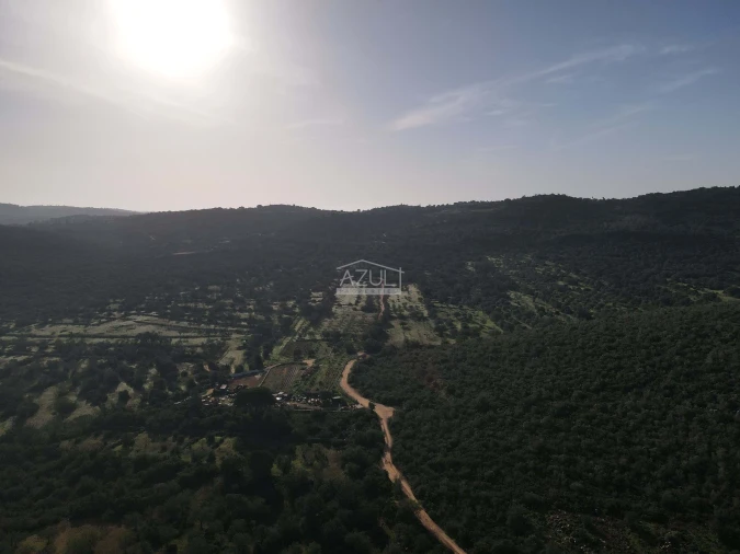 Terreno para Venda em Loule (São Clemente) Foto 25