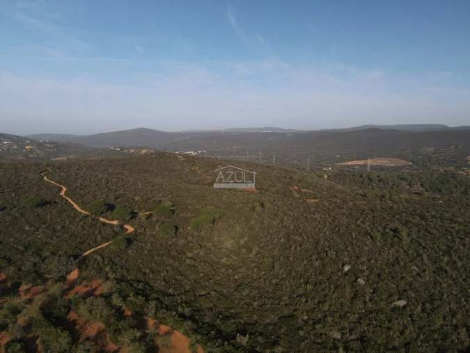 Terreno para Venda em Loule (São Clemente) Foto 26