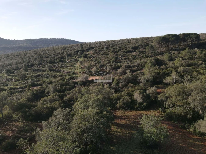 Terreno para Venda em Loule (São Clemente) Foto 3