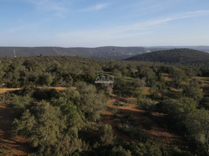 Terreno para Venda em Loule (São Clemente) Foto 7