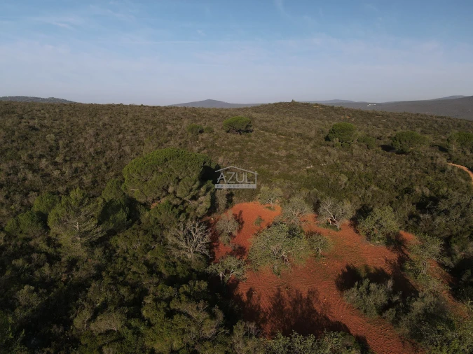 Terreno para Venda em Loule (São Clemente) Foto 12