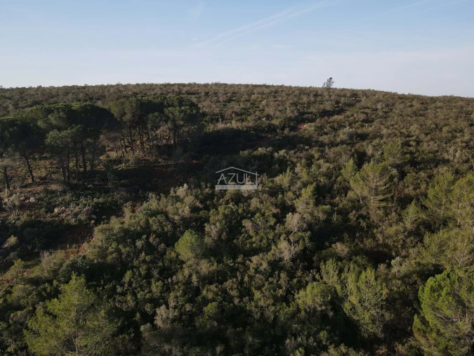 Terreno para Venda em Loule (São Clemente) Foto 11