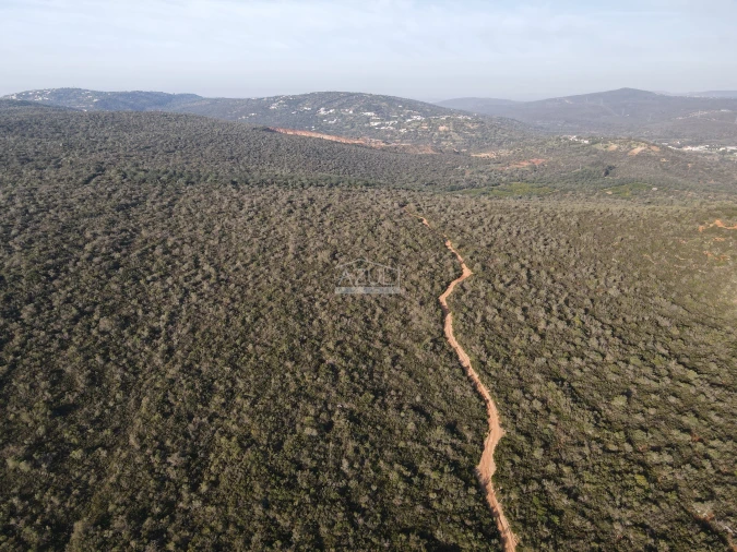 Terreno para Venda em Loule (São Clemente) Foto 17