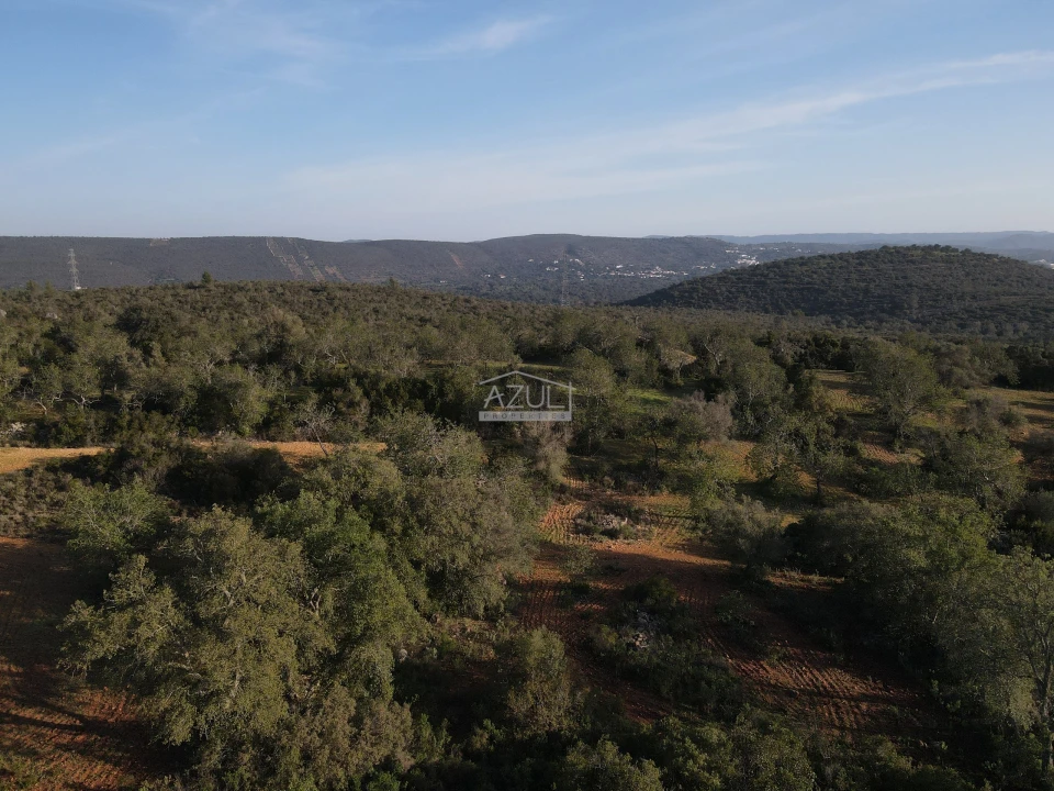 Terreno para Venda em Loule (São Clemente) Foto 7