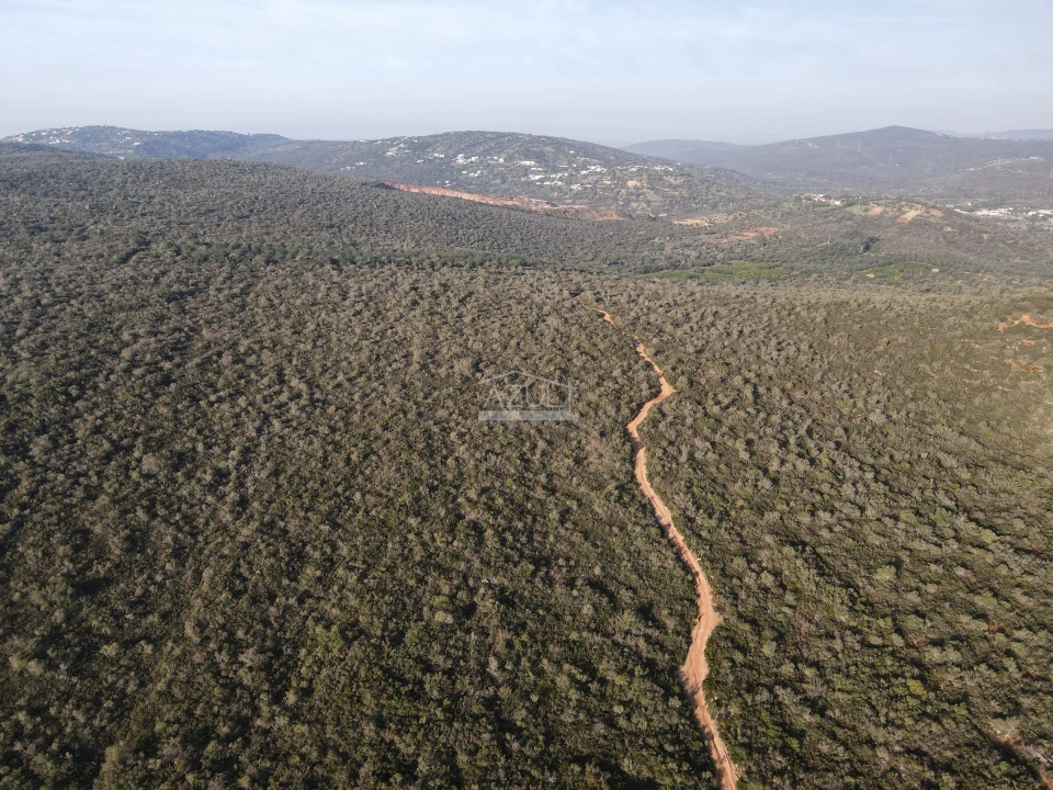 Terreno para Venda em Loule (São Clemente) Foto 17