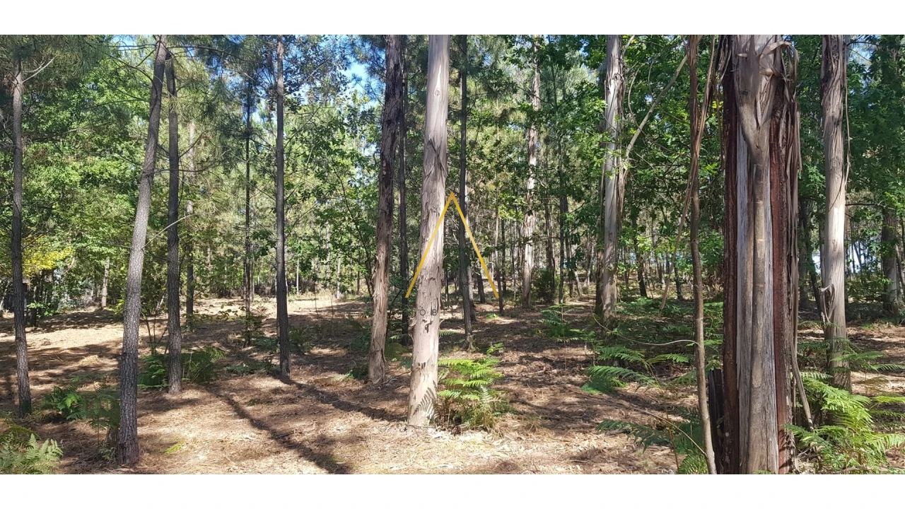 Terreno para Venda em São Cipriano e Vil de Souto Foto 2
