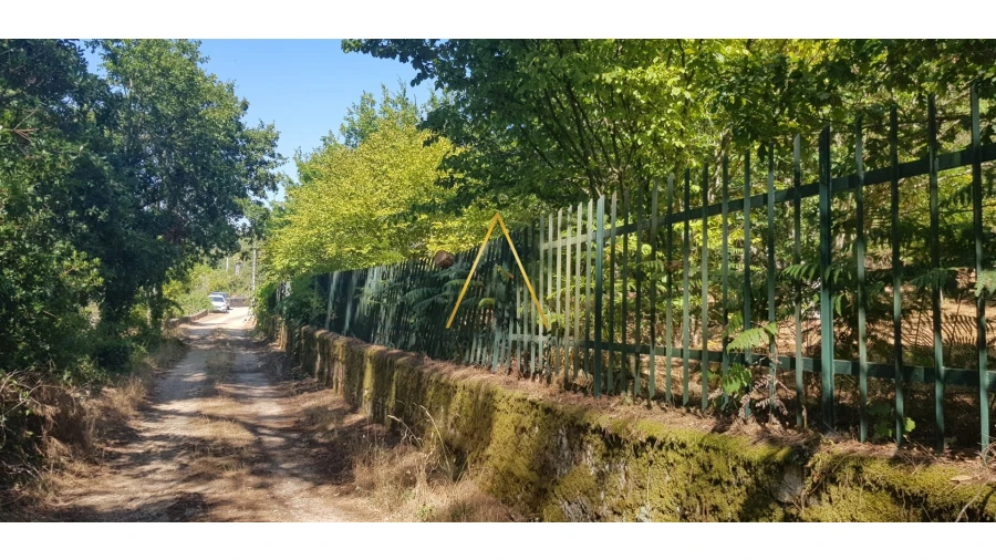 Terreno para Venda em São Cipriano e Vil de Souto Foto 5