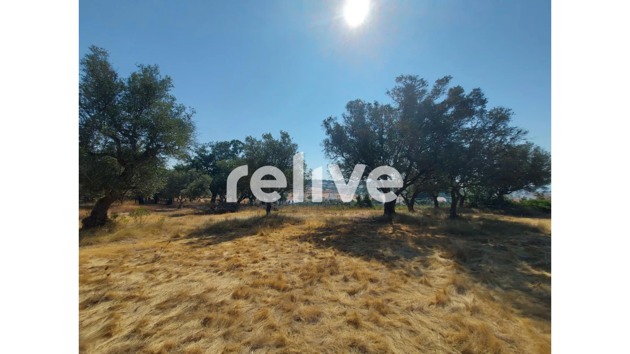 Terreno para Venda em Santa Maria do Castelo e Santiago e Santa Susana Foto 6