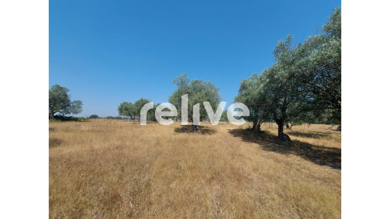 Terreno para Venda em Santa Maria do Castelo e Santiago e Santa Susana Foto 11