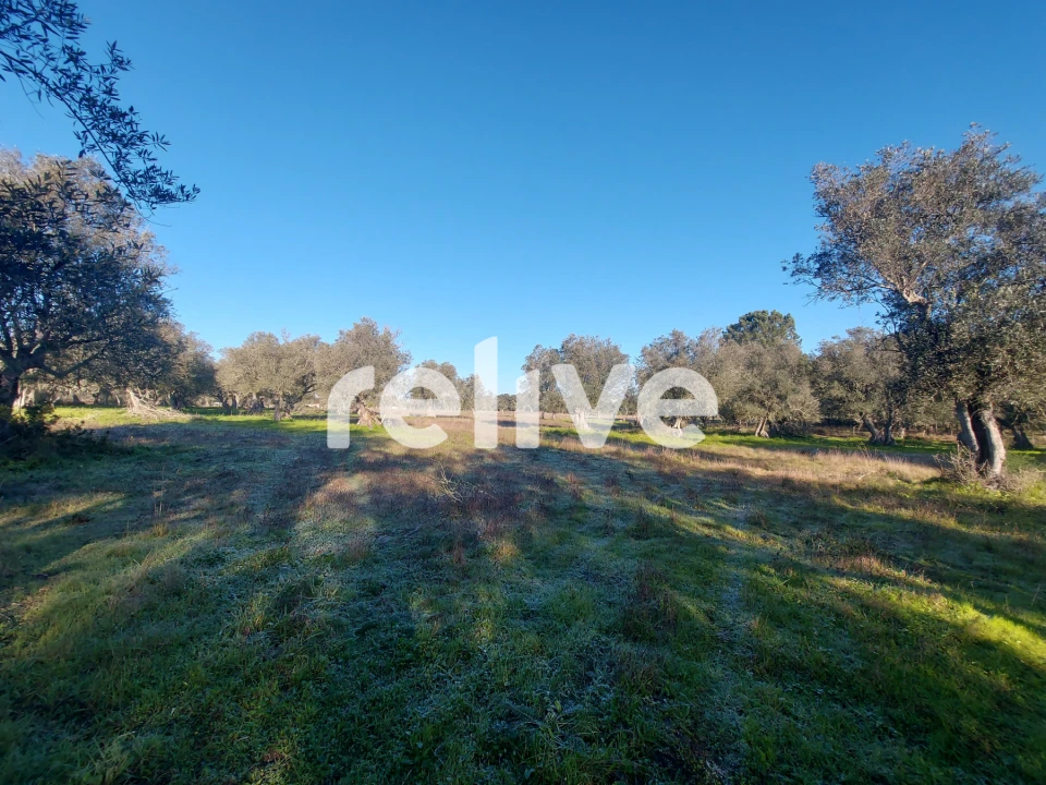 Terreno para Venda em Santa Maria do Castelo e Santiago e Santa Susana Foto 4
