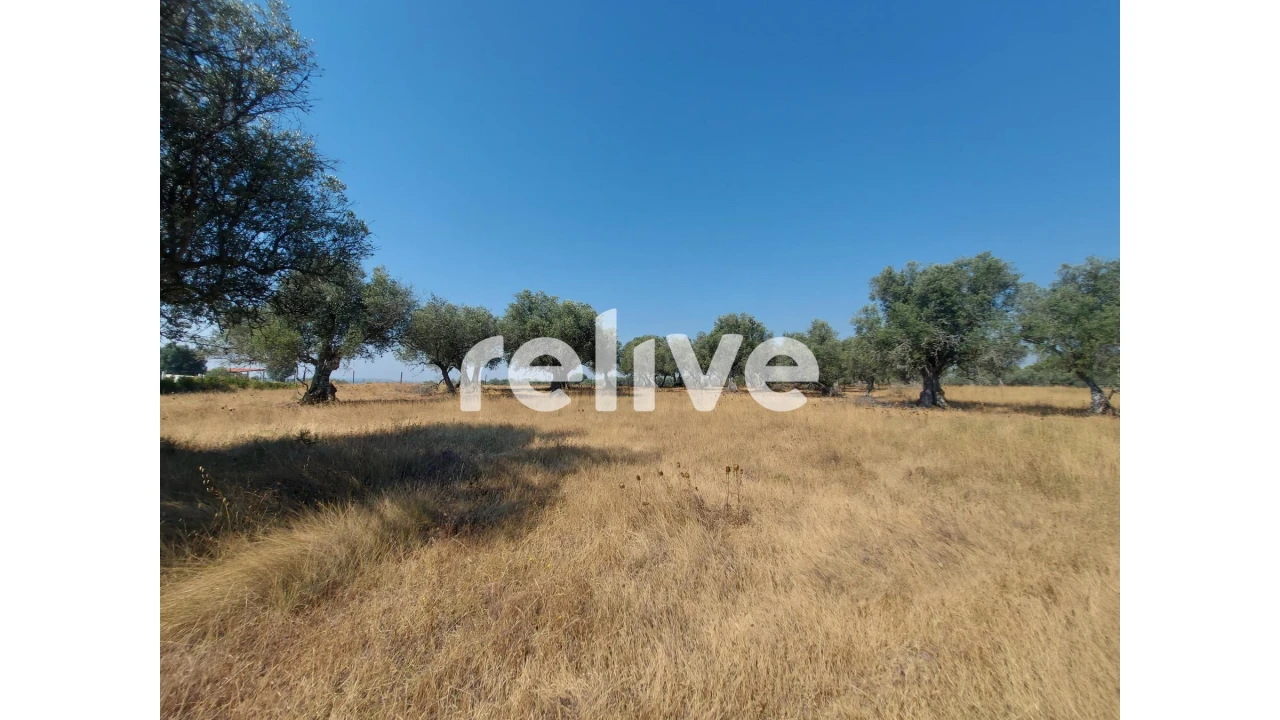 Terreno para Venda em Santa Maria do Castelo e Santiago e Santa Susana Foto 18