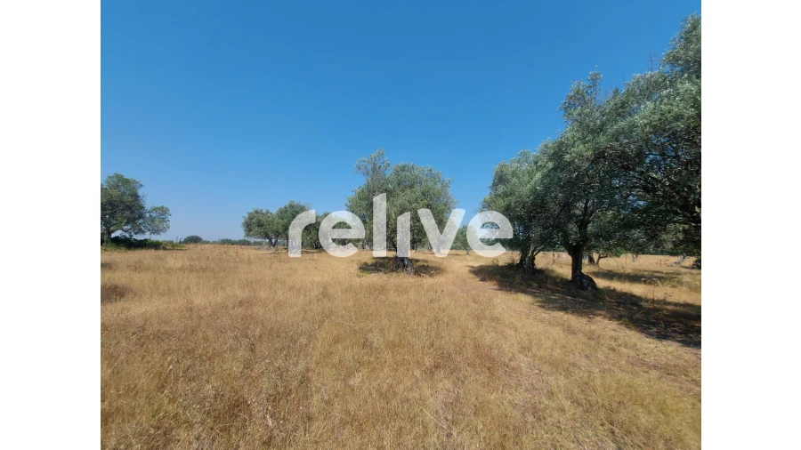 Terreno para Venda em Santa Maria do Castelo e Santiago e Santa Susana Foto 11