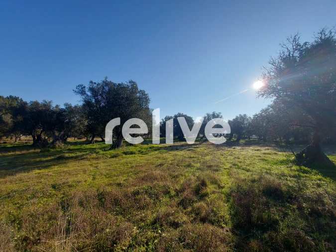 Terreno para Venda em Santa Maria do Castelo e Santiago e Santa Susana Foto 7