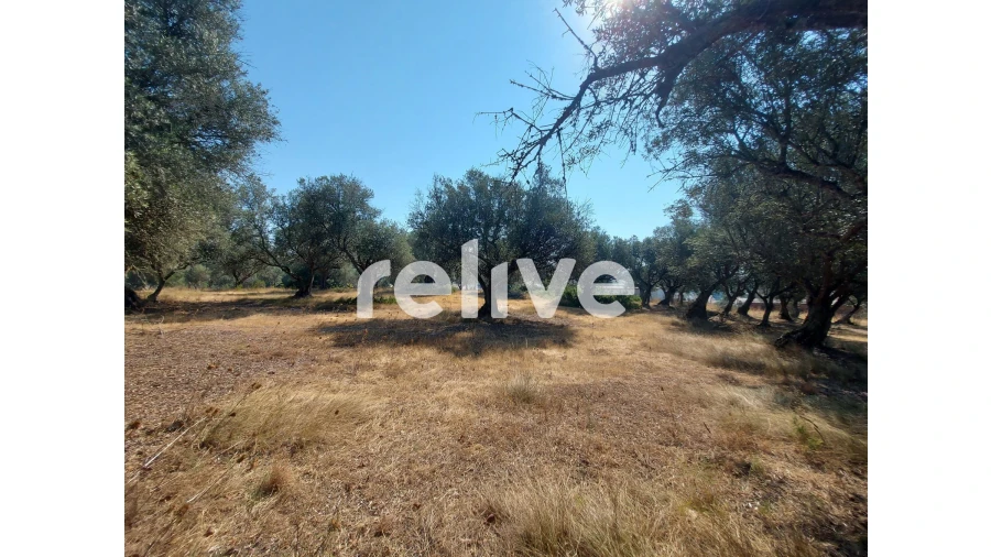 Terreno para Venda em Santa Maria do Castelo e Santiago e Santa Susana Foto 20