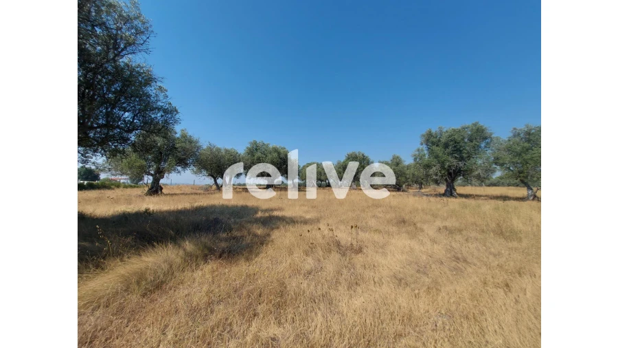 Terreno para Venda em Santa Maria do Castelo e Santiago e Santa Susana Foto 18