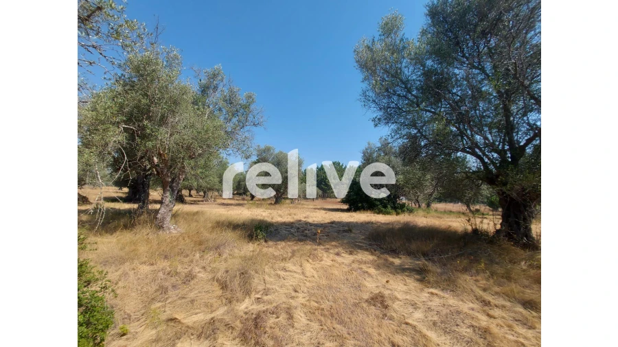Terreno para Venda em Santa Maria do Castelo e Santiago e Santa Susana Foto 16