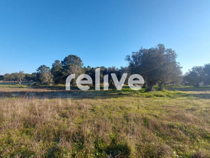 Terreno para Venda em Santa Maria do Castelo e Santiago e Santa Susana Foto 10