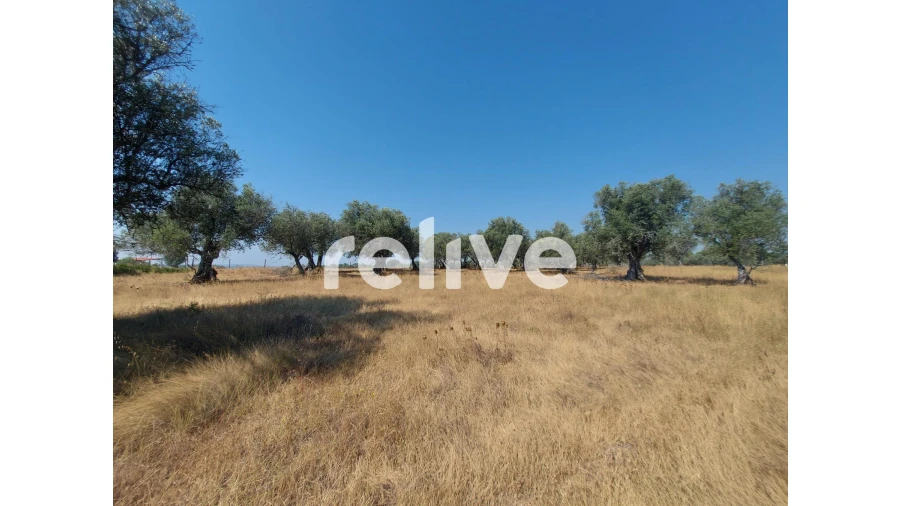 Terreno para Venda em Santa Maria do Castelo e Santiago e Santa Susana Foto 19